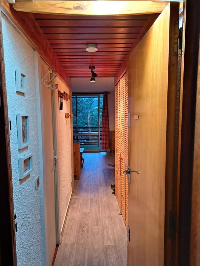 Appartement Montagnard Serre-Chevalier. Saint Chaffrey Bagian luar foto